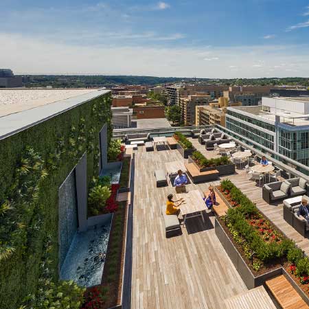 Amenity: Rooftop Terrace
